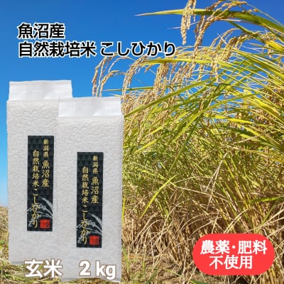 【魚沼産|自然栽培米コシヒカリ】「玄米」2㎏【無農薬|無肥料】