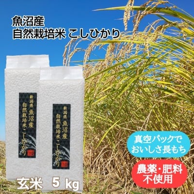 玄米5kg【魚沼産|自然栽培米コシヒカリ】【無農薬|無肥料】