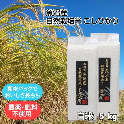 【魚沼産|自然栽培米コシヒカリ】「白米」5kg【無農薬|無肥料】