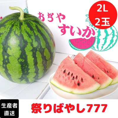 【糖度12以上】農園ビギンさんのスイカ【2Lサイズ】2玉入|新潟県小千谷産|お中元|贈り物にもおすすめ