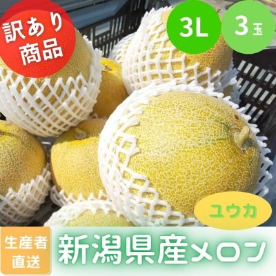 【訳ありメロン/ユウカ3L/3玉】【高ポイント】