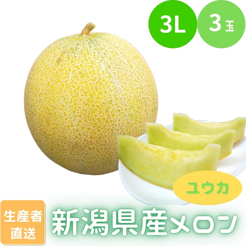 3L/3玉】【とろけるメロン/ユウカ】