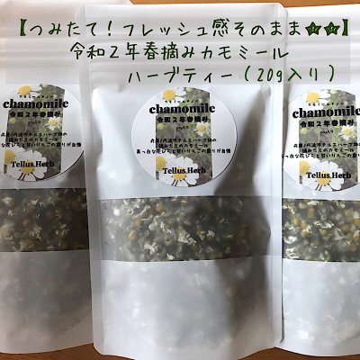 【摘みたてハーブ】令和2年春の手摘みジャーマンカモミールハーブティー20g