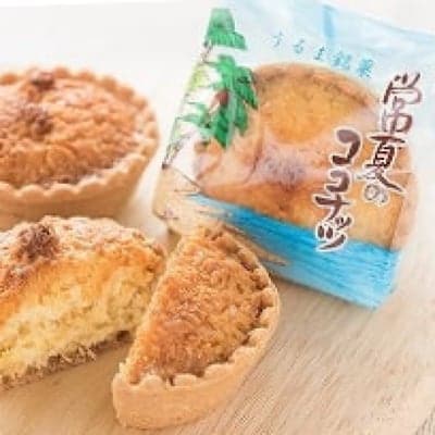 【10個入り】常夏（とこなつ）のココナッツ焼き菓子