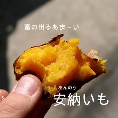 【まもなく終了】無農薬の焼き芋 安納いも (石焼き)