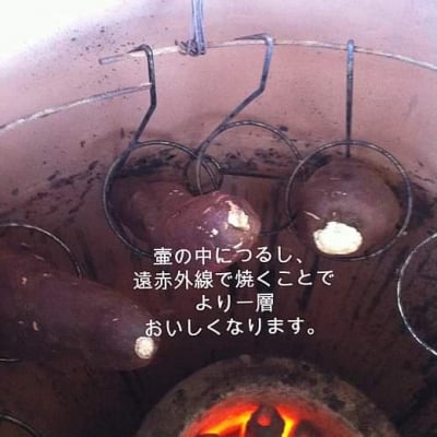 お歳暮やギフトに、幻の壷焼き芋のセット4〜6本(約1.2キロ) 無農薬 1日2組限定【11/10より発送】