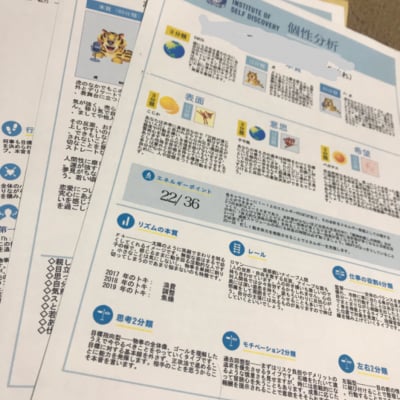 ISD個性心理学 あなたの個性分析(診断書3枚)