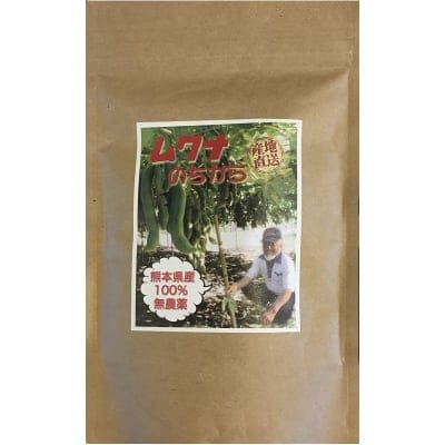ムクナ豆パウダー ムクナのちから 熊本県産 100% 無農薬無施肥 高品質