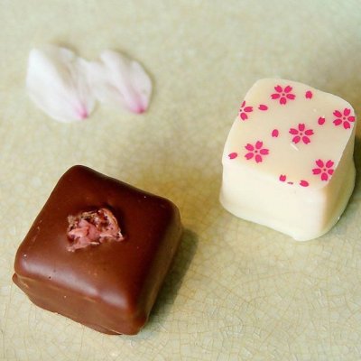【季節限定 桜ボンボンショコラ2種4個セット】桜餅のような和風チョコレート