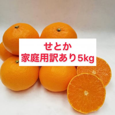 せとか〜家庭用訳あり5㎏〜【送料無料】北海道・沖縄別途