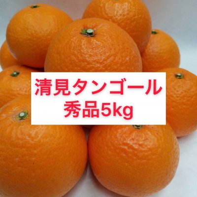 清見タンゴール〜秀品階級混合5㎏〜【送料無料】北海道・沖縄別途