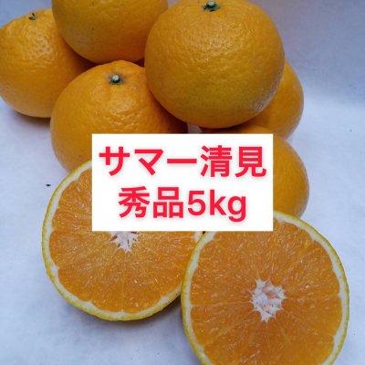 サマー清見〜秀品階級混合5㎏〜送料無料(北海道・沖縄別途)