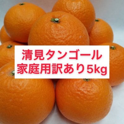 清見タンゴール〜家庭用訳あり5㎏〜【送料無料】北海道・沖縄別途