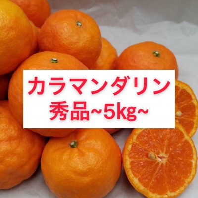 カラマンダリン〜秀品階級混合5㎏〜【送料無料】北海道・沖縄別途