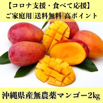【送料無料】沖縄県産無農薬アップルマンゴー2㎏/コロナ支援/食べて応援