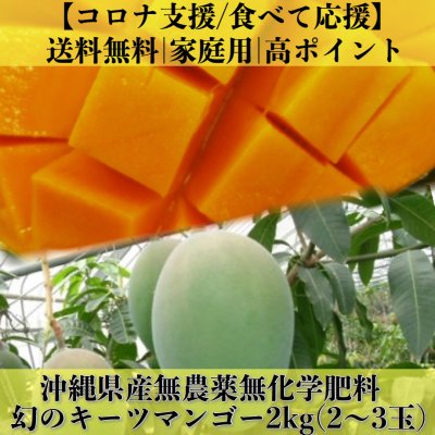 【送料無料】幻の沖縄県産無農薬キーツマンゴー2㎏(2〜3個)/コロナ支援/食べて応援