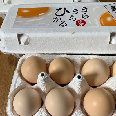 純系種うこっけいのオーガニック平飼い卵 1箱30個入「養鶏場直送品」抗生剤不使用