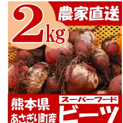 熊本県あさぎり町産 ビーツ 2kg 有機栽培 野菜 栄養 予約販売