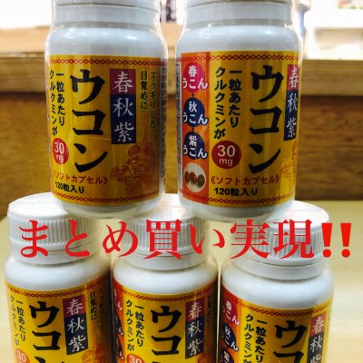 沖縄ウコン(120粒✖️5個セット)