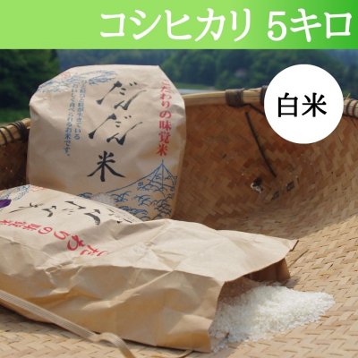 【ケイコのおすすめ】棚田で育った「だんだん米」5キロ。幻の産地と言われた寒暖差のある鳥取県日野郡日南町笠木のお米です。魚沼産にもひけをとらない美味しい成分がありリピーターも多い。大量生産はできず、限られた分量しかつくれません。それを特別に分けてもらいました。