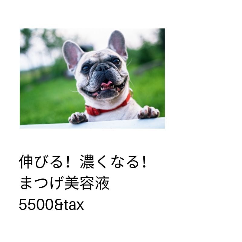 二週間で結果が見え始める 伸びるまつげ美容液エグータム 現地決済専用 Sakura Beans サクラビーンズ 岐阜 各務原 インディバメディカルエステサロン ツクツク ウェブチケット モバイル コトの通販サイト 体験を買える