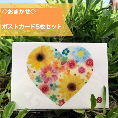 ◆プレゼント付き◆お任せポストカード5枚セット定型(郵便)はがきサイズ:100mm×148mm5枚セット