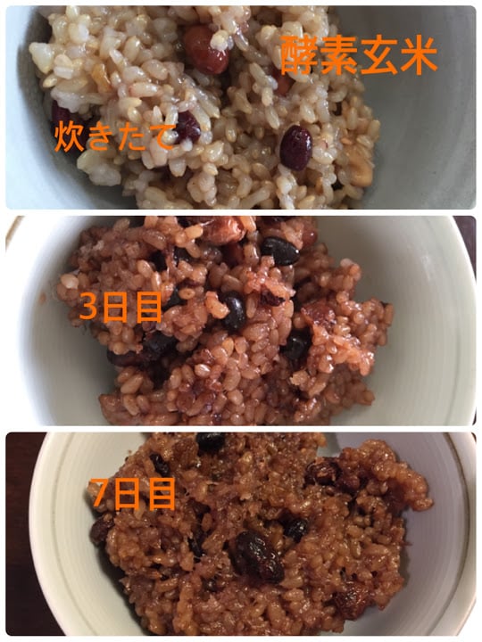 《Zoomオンライン12月25日午後》酵素玄米教室/手作り酵素玄米セット付のイメージその１