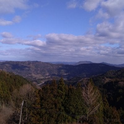 山村の過去と今とヒノキヒモ。最後の職人から学ぶツアー@和歌山県高野町