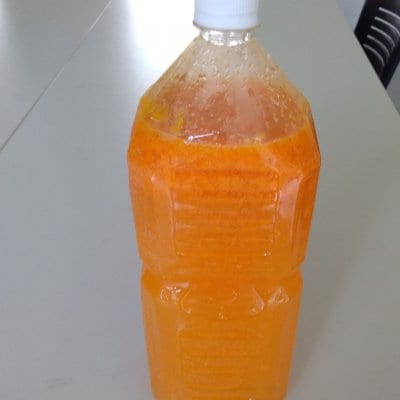 (訳アリ) 無農薬みかんジュース2L 和歌山　送料込み ミカン 果汁100％
