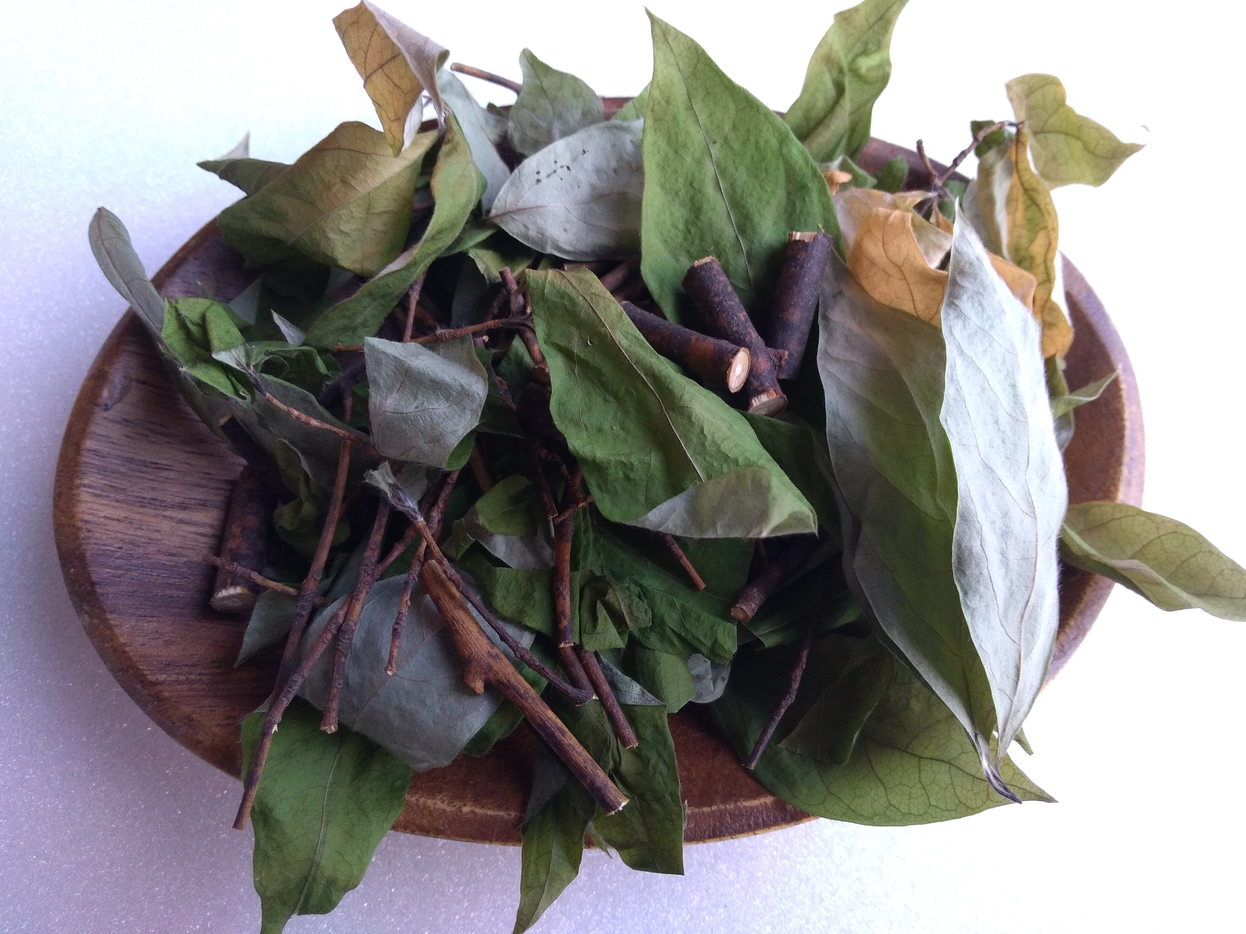 希少】くらしの薬草と漢方薬－ハーブ・民間薬・生薬－ 漢方研究 – 医療