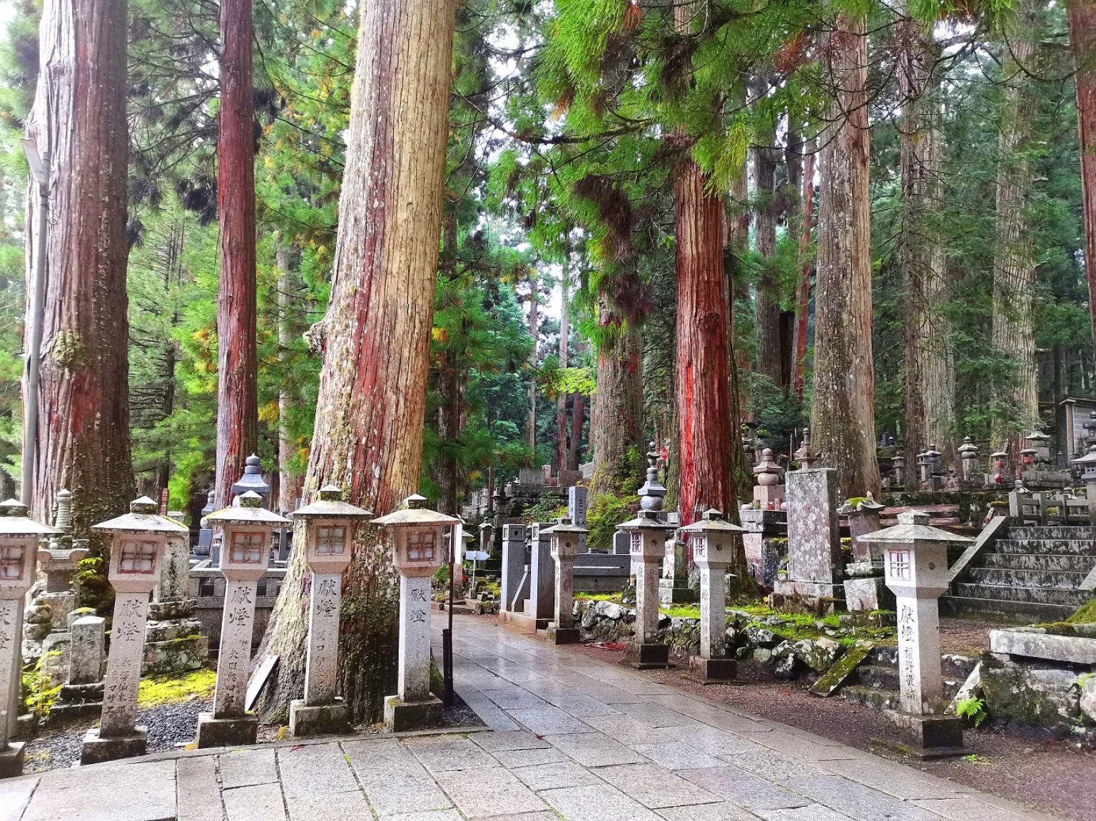 弘法大師も飲んだ1200年前の平安時代のお茶体験（空海茶）2人用