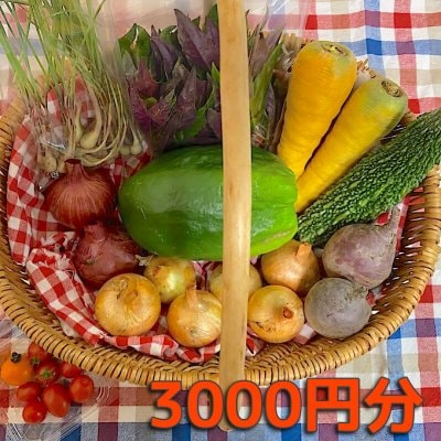 沖縄無農薬野菜のーぶーおすすめセット3000円分
