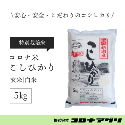 【白米/5キロ】コロナ米こしひかり/新潟産【特別栽培米】【送料無料】