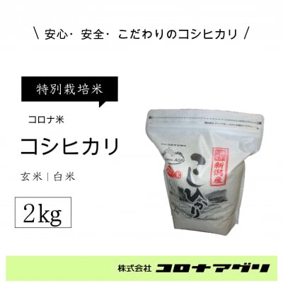 【白米/2キロ】コロナ米こしひかり/新潟産【特別栽培米】【送料無料】