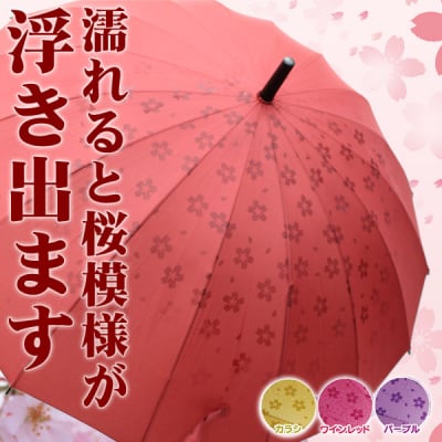 【期間限定1,000円値下げ】あら不思議!?濡れるとさくら模様が浮き出ます。 16本骨 さくら傘