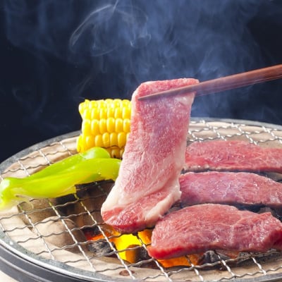 【産直/送料無料】 飛騨牛 焼肉(肩ロース)500g