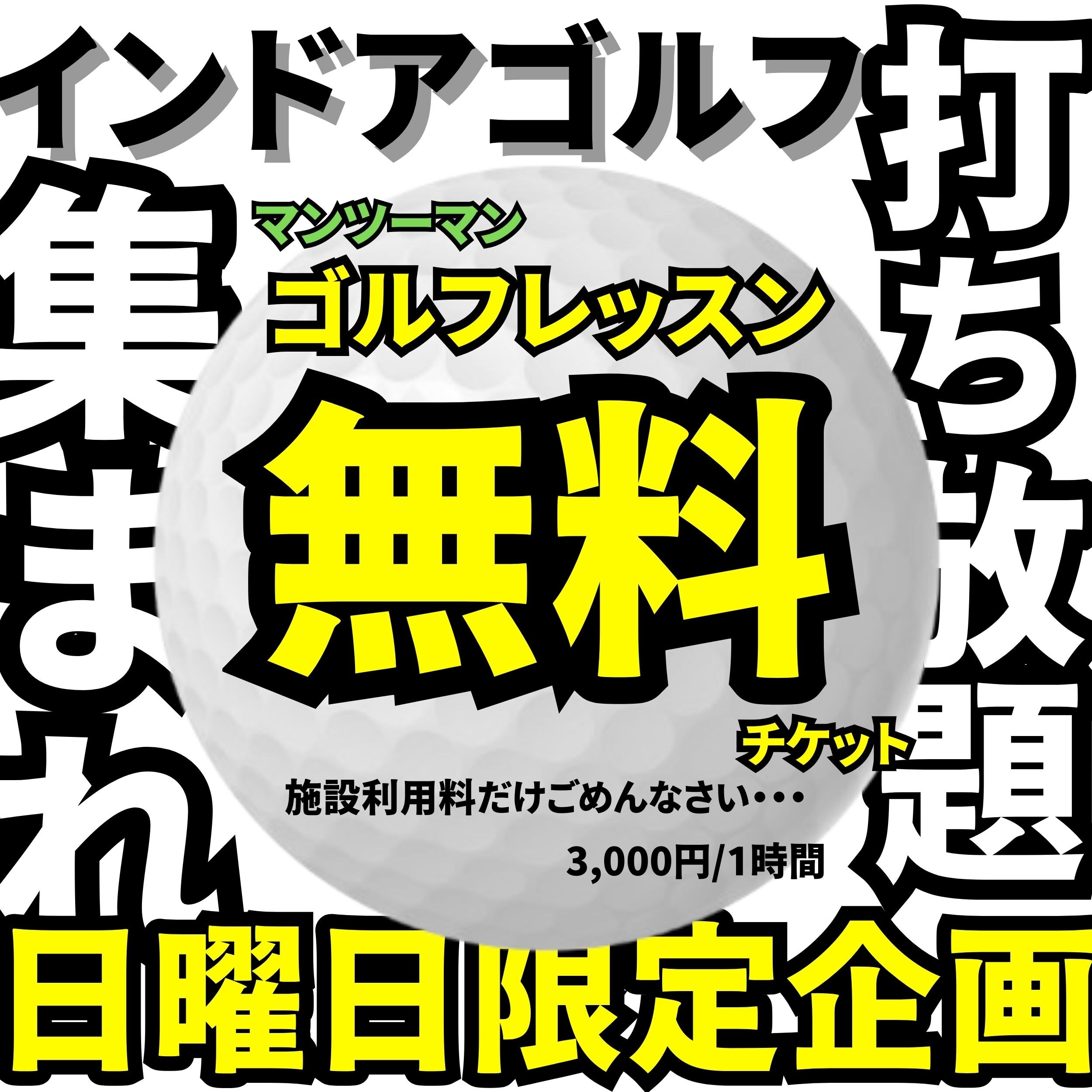 ゴルフ無料レッスン付き 施設利用料チケット インドアゴルフ マンツーマン オーシャン総合企画 日曜日限定特別企画 - 株式会社ShaftCOLOR