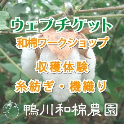 ツクツク!!ウェブチケット
