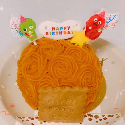 犬用【ange特製のDeli】⌘ケーキ⌘ ✴︎神山鶏と自然栽培の野菜で作った✴︎ 犬猫対応 一匹用 お誕生日やうちの子記念日など大切な日に