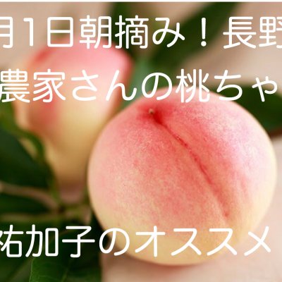 8月1日朝摘み直送 長野の桃農家さんの美味しい桃ちゃん