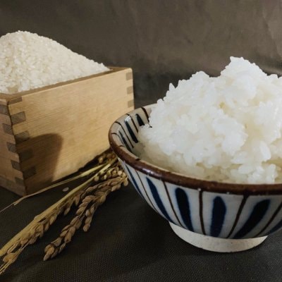 【完全無農薬・無肥料・除草剤一切不使用】飛騨高山産・コシヒカリ 1㎏