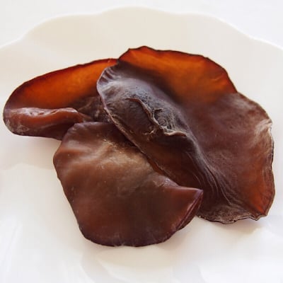 肉厚 黒きくらげ 生 500g【期間限定5月〜12月】熊本県あさぎり町産