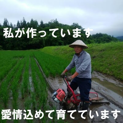新潟上越妙高_矢代産コシヒカリ 新米2kg