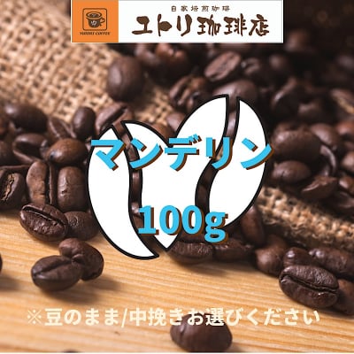 マンデリン 100g【自家焙煎コーヒー豆】