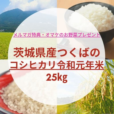 【送料無料】お得なつくばのコシヒカリ令和元年米25㎏