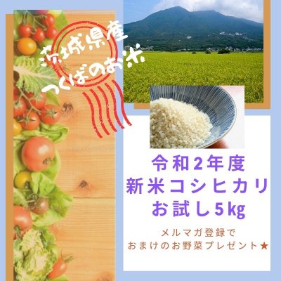 【送料無料(一部地域)】つくばのコシヒカリ令和2年新米お試し5㎏ ★メルマガ特典お知らせ下さい★