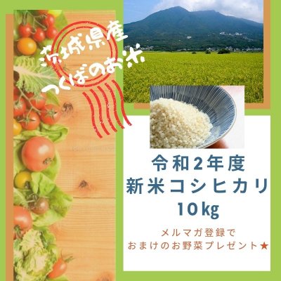 【送料無料(一部地域)】つくばのコシヒカリ令和2年新米10㎏ ★メルマガ特典お知らせ下さい★