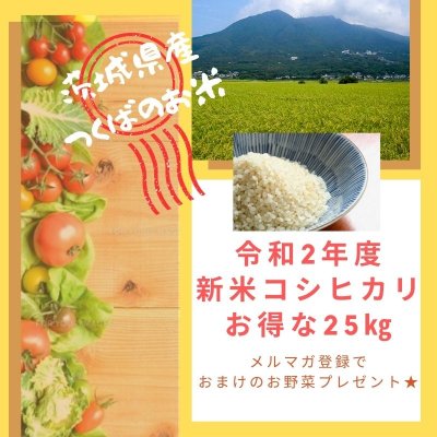 【送料無料(一部地域)】つくばのコシヒカリ令和2年新米25㎏ ★メルマガ特典お知らせ下さい★