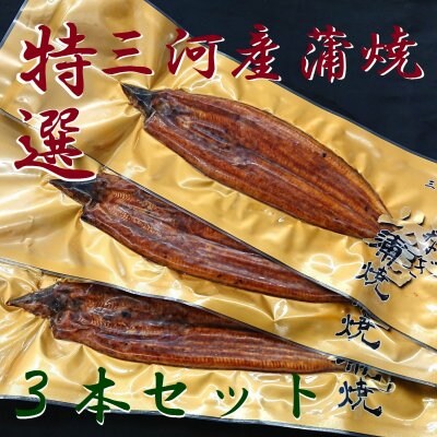【送料無料】特選三河産蒲焼き3本