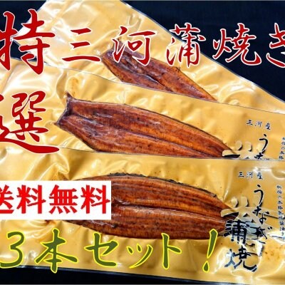 特選三河産蒲焼き3本